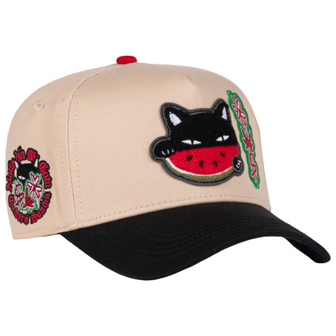 WATERMELON CAT BEIGE BLACK