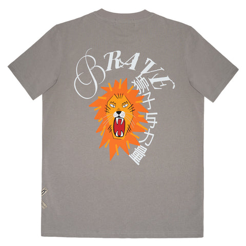 LION GRAY