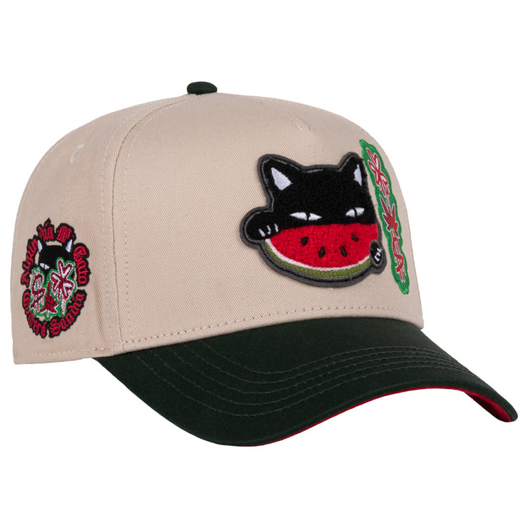 WATERMELON CAT BEIGE GREEN