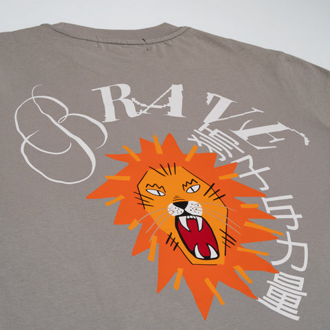 LION GRAY